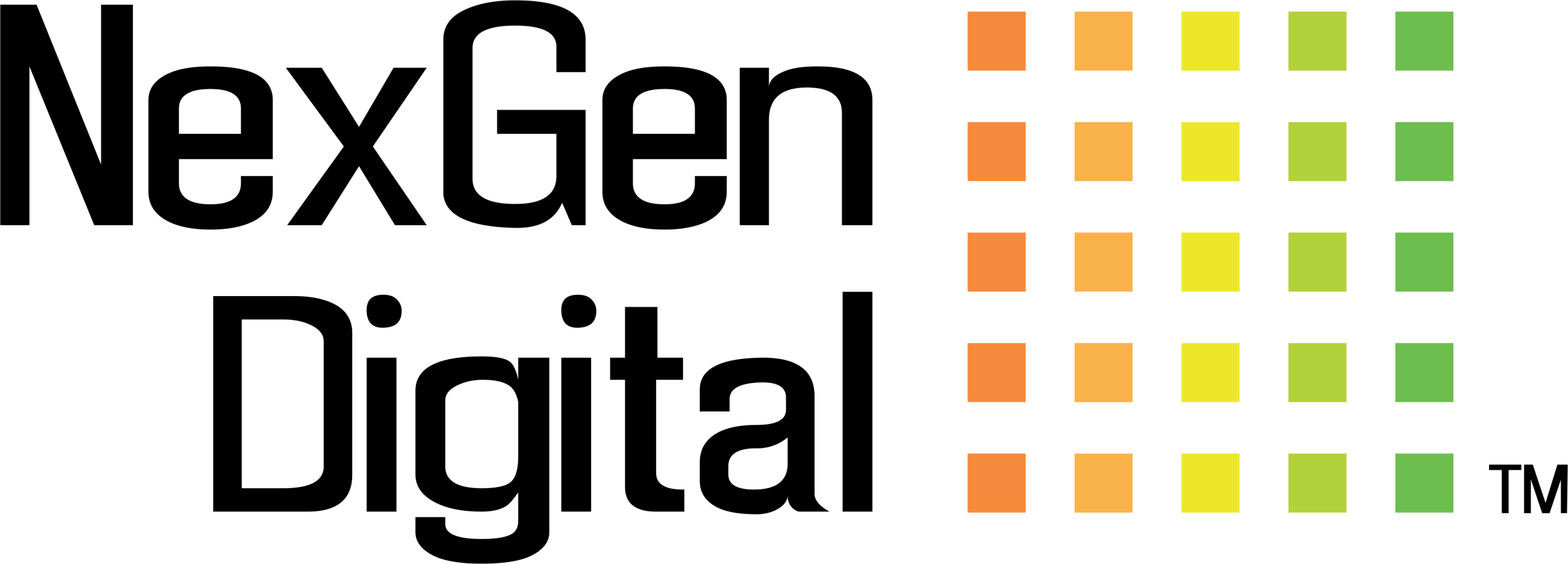 NexGen Digital